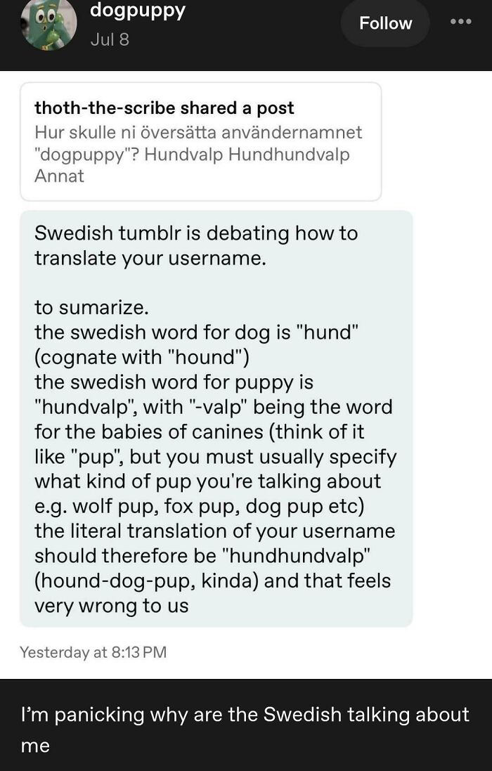 Funny Tumblr post showing Swedish users debating how to translate a username into Swedish.