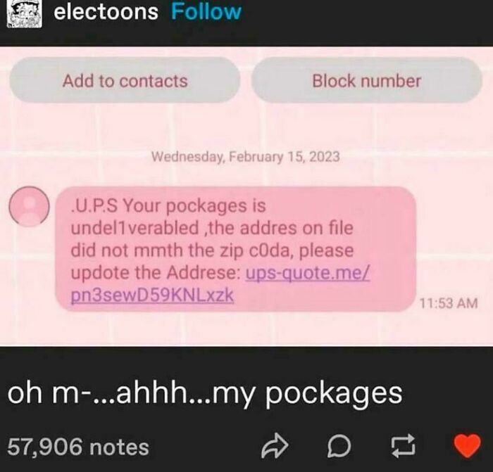Random post from Tumblr showing a text scam about an undelivered package and a humorous reply