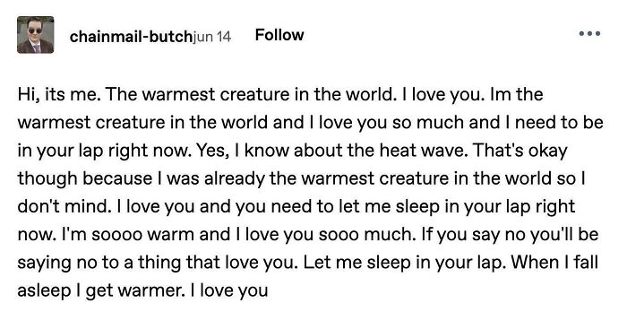 Text-based screenshot of random posts from Tumblr about a warm pet wanting to cuddle.