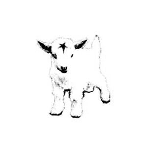 charopc avatar