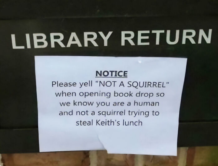 A hilarious chaotic sign spotted in the wild at a library return requesting users yell NOT A SQUIRREL.