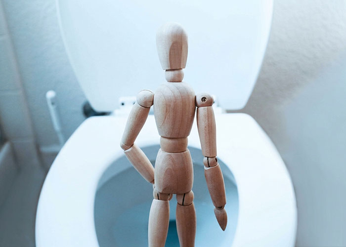 Wooden mannequin figure standing in front of a toilet symbolizing medical issues