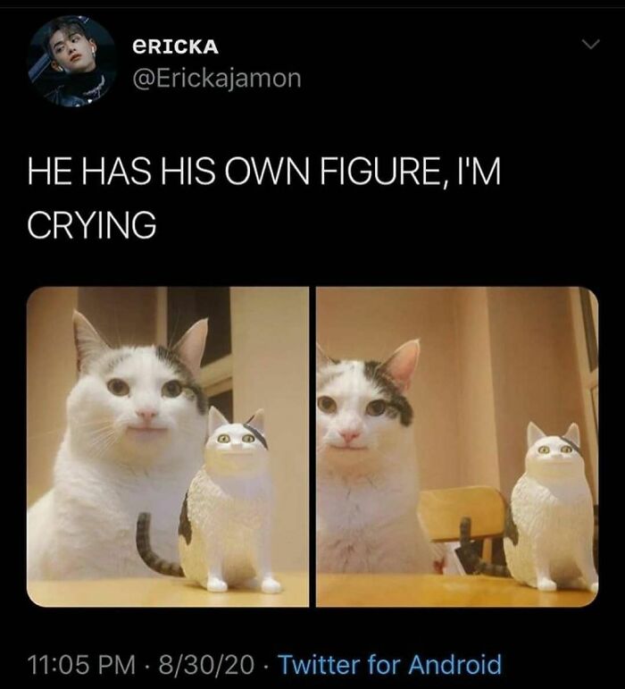 A funny cat meme featuring a white cat and its matching figurine, with text: HE HAS HIS OWN FIGURE, IM CRYING.