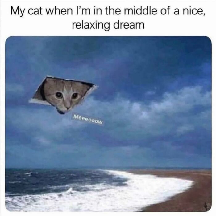 A surreal cat meme showing a funny cat's head peeking through a rip in the clouds above a beach, saying Meeoooow.