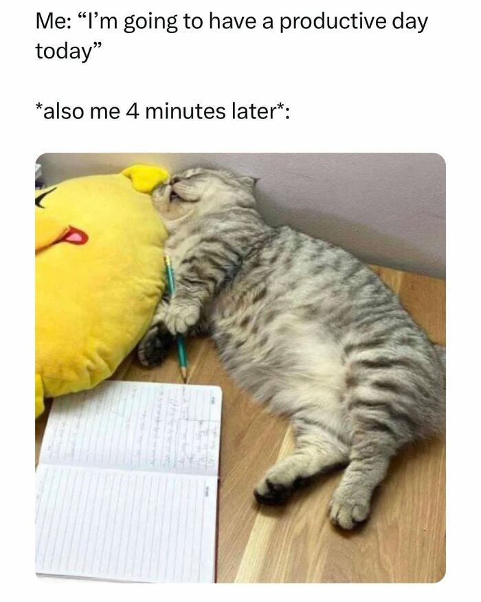 A funny cat meme of a tabby cat sleeping soundly next to a yellow plushie and an open notebook, showing its furry friend's naptime.