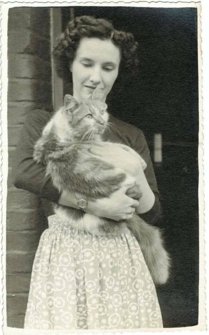 Vintage cat photo of a woman holding a large fluffy tabby cat in her arms