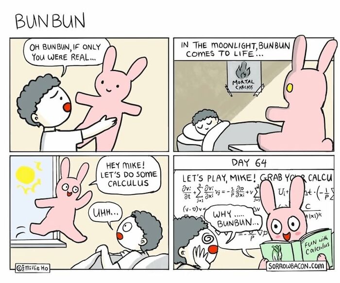 Artist creates comics about a rabbit coming to life for calculus, a funny twist on life's random things.