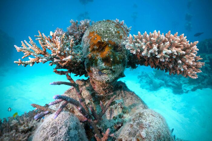 Underwater sculpture turning the ocean floor into an art gallery and supporting marine life.