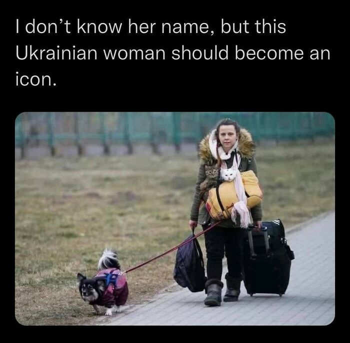 A Ukrainian woman carrying two cats and walking a dog while traveling, an iconic image among funny cat memes.