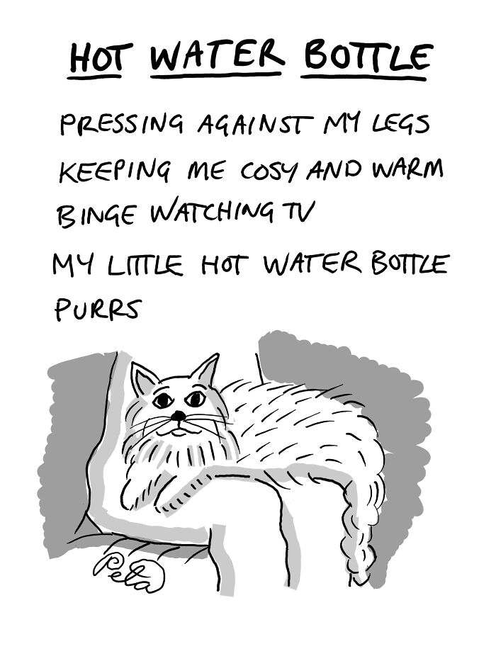 Comic about hot water bottle providing warmth like a purring cat