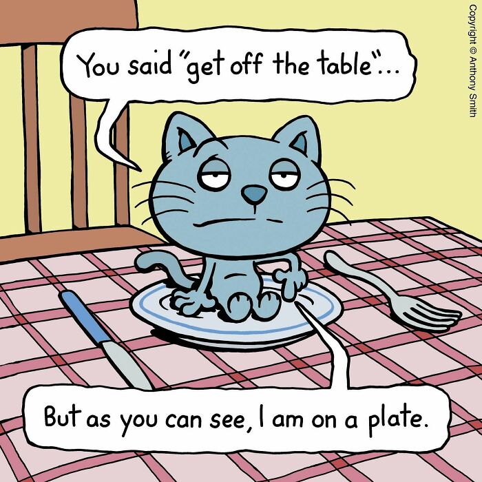 An illustration of a cat on a plate, defying the owner's command to get off the table. This showcases funny cat behavior.