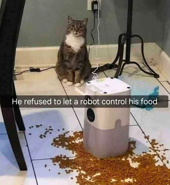 Funny cat memes: a cat sitting defiantly next to a knocked-over automatic feeder with kibble spilled on the floor.