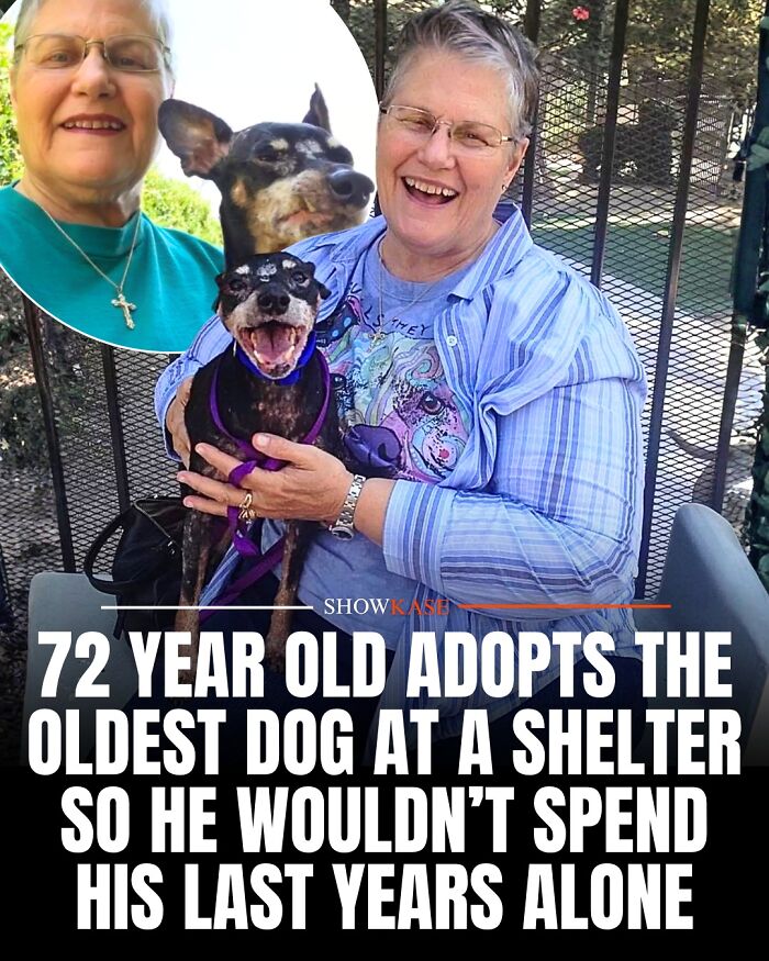 Woman holding old shelter dog she adopted, representing inspiring wholesome stories.