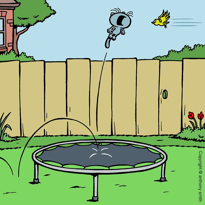 A cat with cattitude jumps high on a trampoline, chasing a bird, illustrating cat life.
