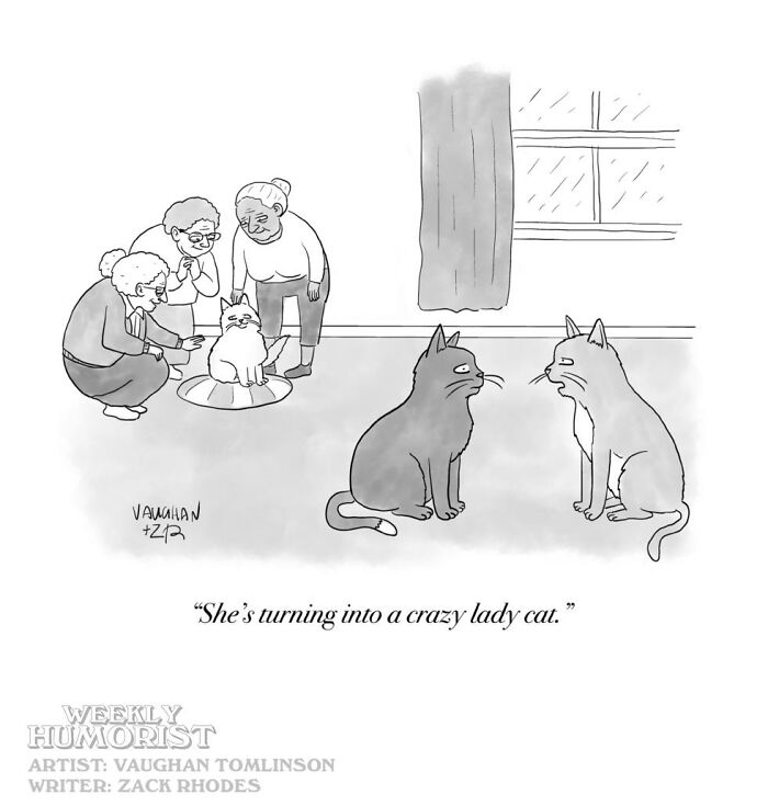 Absurd comics of cats and old ladies, with one cat commenting about another becoming a 'crazy lady cat'.