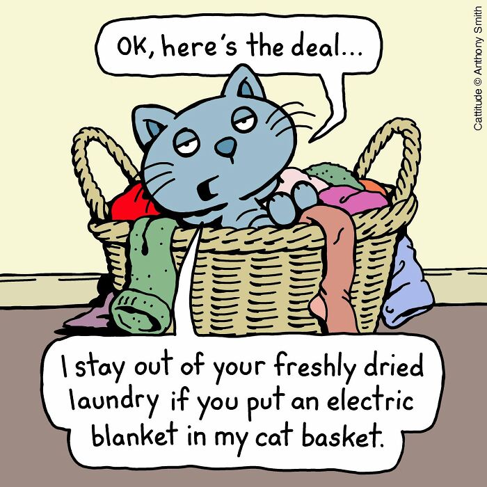 A cat with cattitude in a laundry basket proposes a deal for an electric blanket, showcasing cat life.