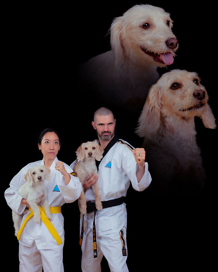 Quirky portrait of pets and their owners: two dogs floating above a couple in martial arts uniforms holding dogs.