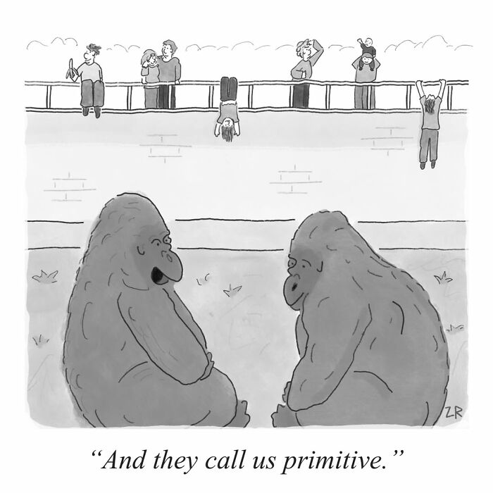 Absurd comics: Two gorillas sitting on the ground, observing humans acting wildly on a wall above them.