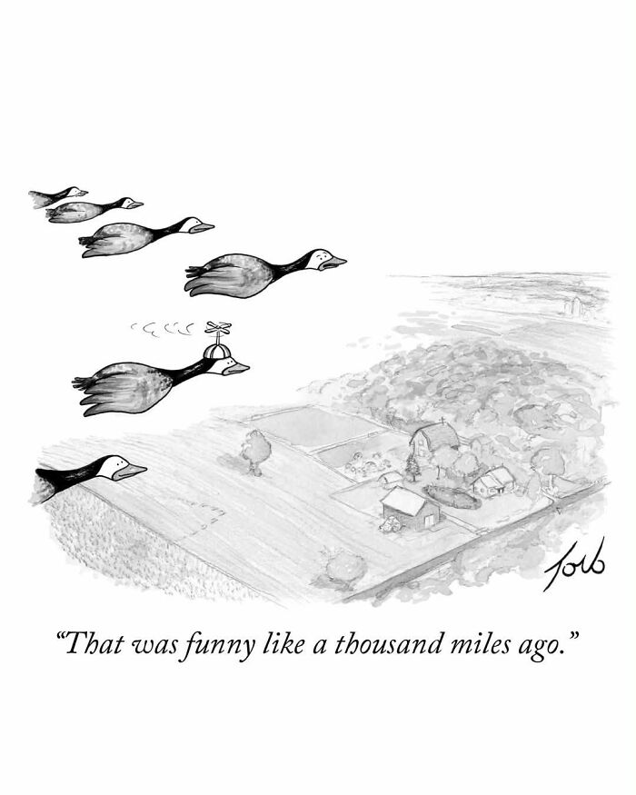 Comic of flying geese with one goose having a propeller hat, humor in cartoon style