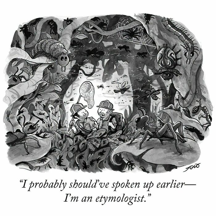 Comic of two etymologists discussing insect names in a bug-filled scene, showcasing clever cartoon wordplay.