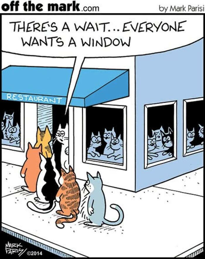 Cats lining up outside a restaurant with window seats, showcasing funny cat owner observations by Mark Parisi.