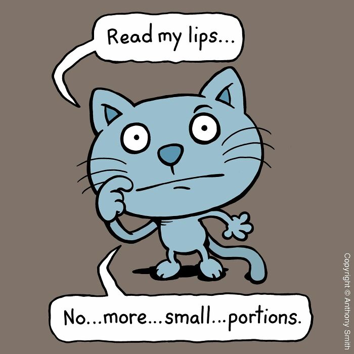An expressive cat with cattitude demands more food, stating Read my lips... No...more...small...portions.