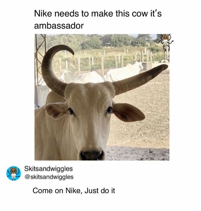 Random-Humorous-Memes