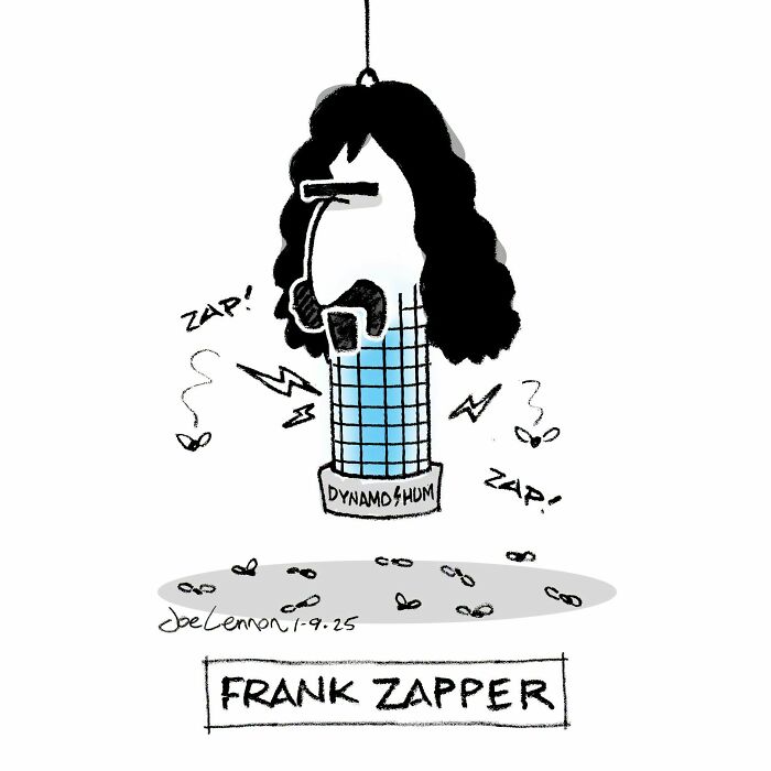 A Joe Lennon comic with an unexpected punchline: a fly zapper shaped like Frank Zappa, with flies zapping around it.