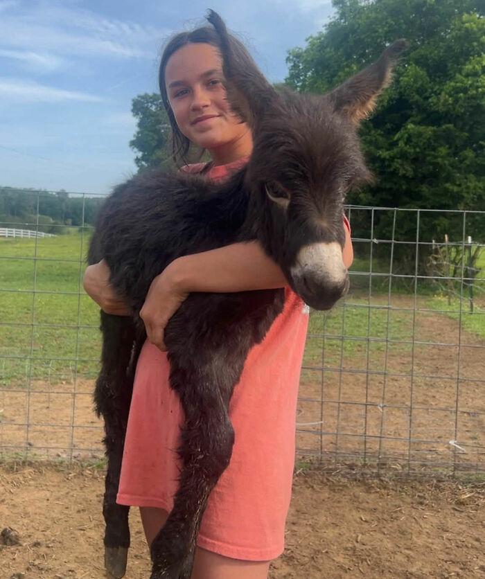 Officer Facing Backlash After Entering Family's Pasture Without Permission And Firing On Their Baby Pet Donkey Officer Facing Backlash After Entering Family's Pasture Without Permission And Firing On Their Baby Pet Donkey