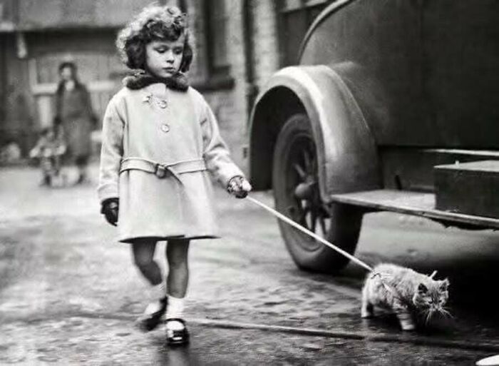 A little girl walking her kitten on a leash next to a car, featured in vintage cat photos.
