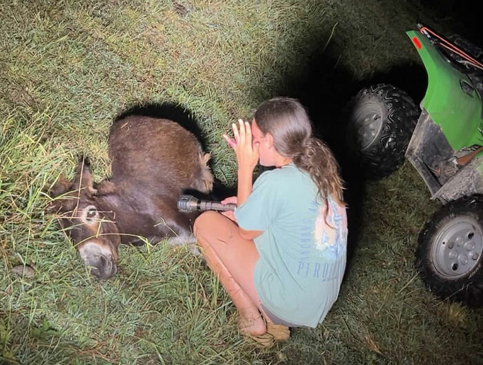 Officer Facing Backlash After Entering Family's Pasture Without Permission And Firing On Their Baby Pet Donkey Officer Facing Backlash After Entering Family's Pasture Without Permission And Firing On Their Baby Pet Donkey