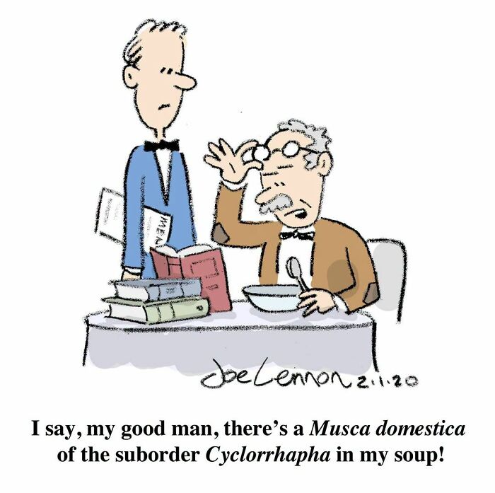A Joe Lennon comic with an old man complaining about a fly in his soup to a waiter, an awkward moment.