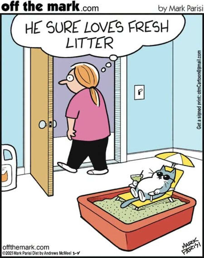 A comic by Mark Parisi depicting a cat relaxing on a beach chair inside a clean litter box