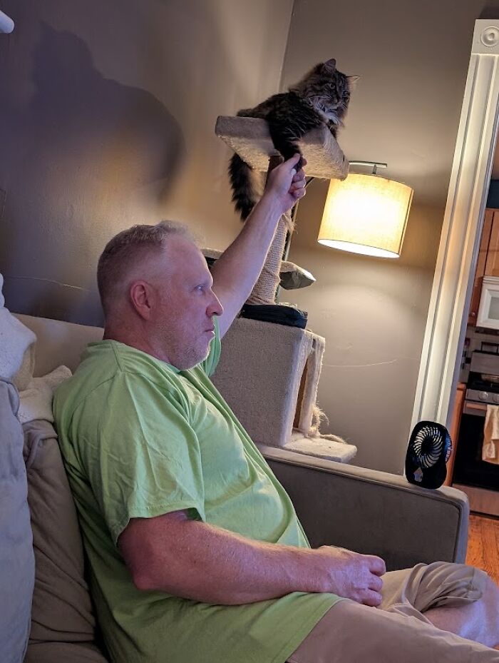 A man on a couch playing with a cat on a cat tree, proof of finding the right man.