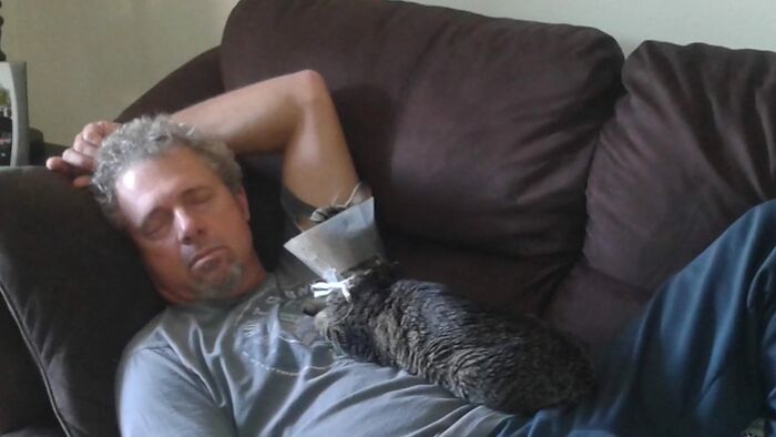 A man sleeping on a couch with a cat in a cone of shame on his chest, showing proof they found the right man.