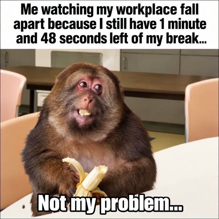 Sarcastic work meme with monkey eating banana ignoring workplace chaos