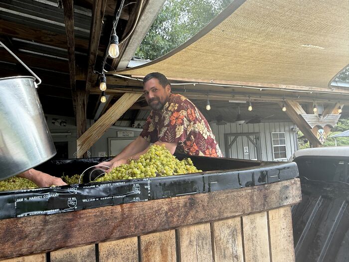 A man in a floral shirt smiles while working with grapes, showing proof they found the right man.