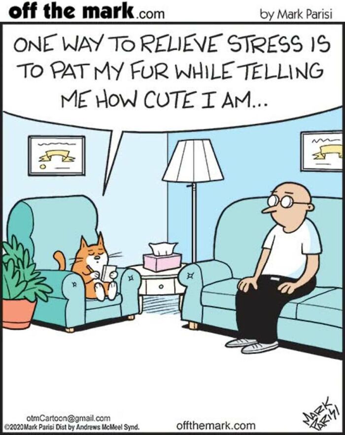 Humorous Mark Parisi cat comic showing a cat acting as a therapist to its owner for stress relief