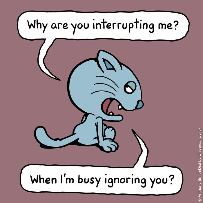 A cat comic with an angry cat saying, Why are you interrupting me? when I'm busy ignoring you? This shows what having a cat is like.