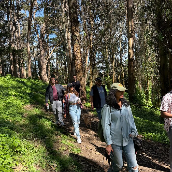 Pet owners and their dogs walking on a sunny path through a wooded area, illustrating the dog owner community. Pet owners and their dogs walking on a sunny path through a wooded area, illustrating the dog owner community.