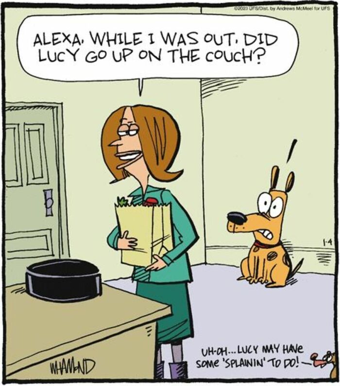 Comic with woman asking Alexa if dog Lucy went on the couch in a clever comic style