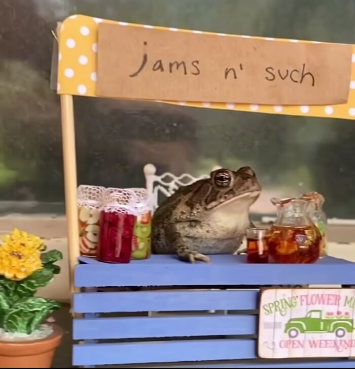 One of the adorable animals, a toad sitting behind a mini jam stand labeled jams n such