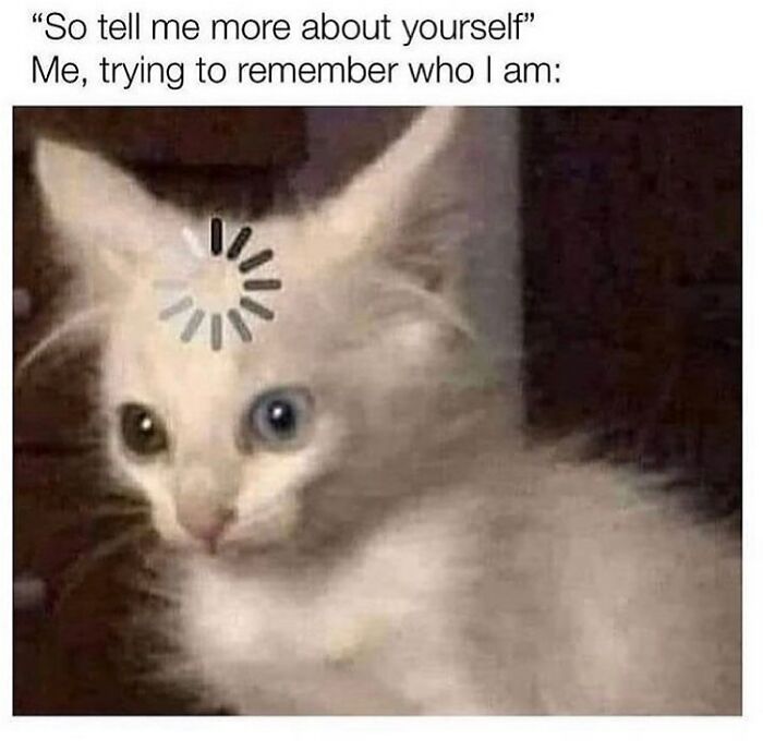 A white kitten with a loading icon above its head, representing memory recall, a funny cat meme.