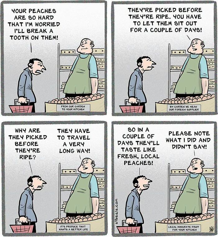 60 Funny Comics By Stephen Beals That Find Humor In The Chaos Of Everyday Life (New Pics)