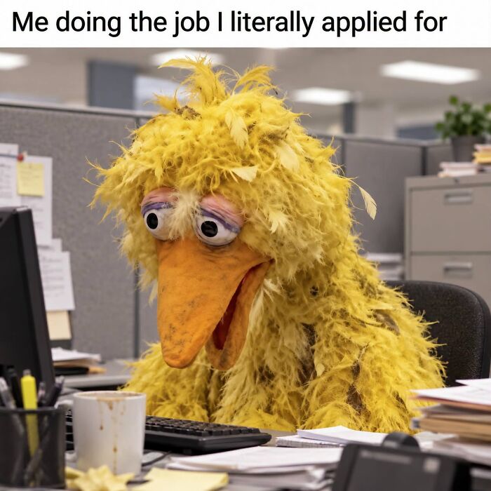 Funny meme showing tired Big Bird at work matching job expectations