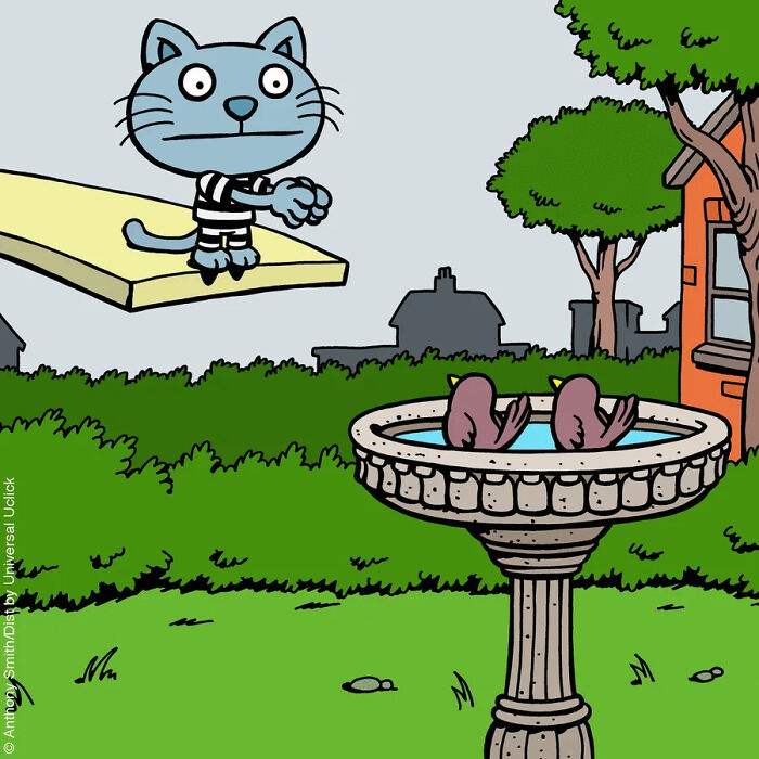 A cat comic with a cat in a striped shirt on a ledge, watching two birds in a birdbath. This illustrates what having a cat is like.