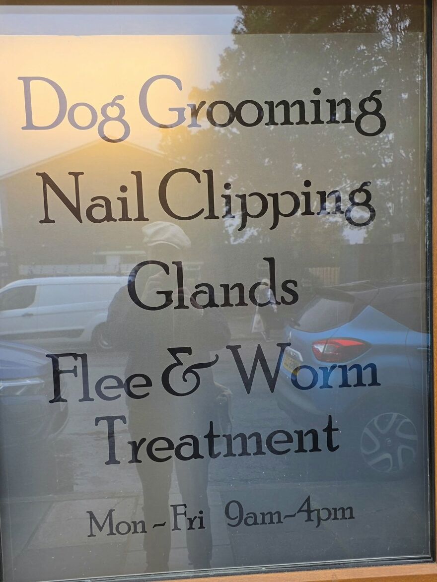 A window sign with funny grammar fails spelling flea treatment as flee treatment.