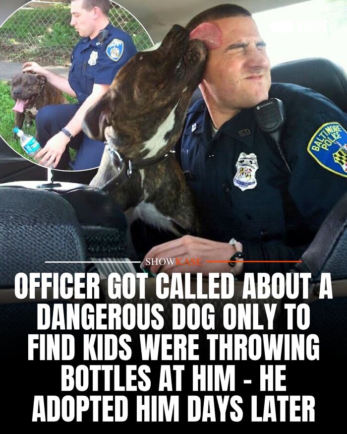 A police officer adopts a dog he saved, creating a heartwarming wholesome story.