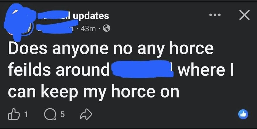 A Facebook post asking for horce feilds highlighting funny grammar fails online.