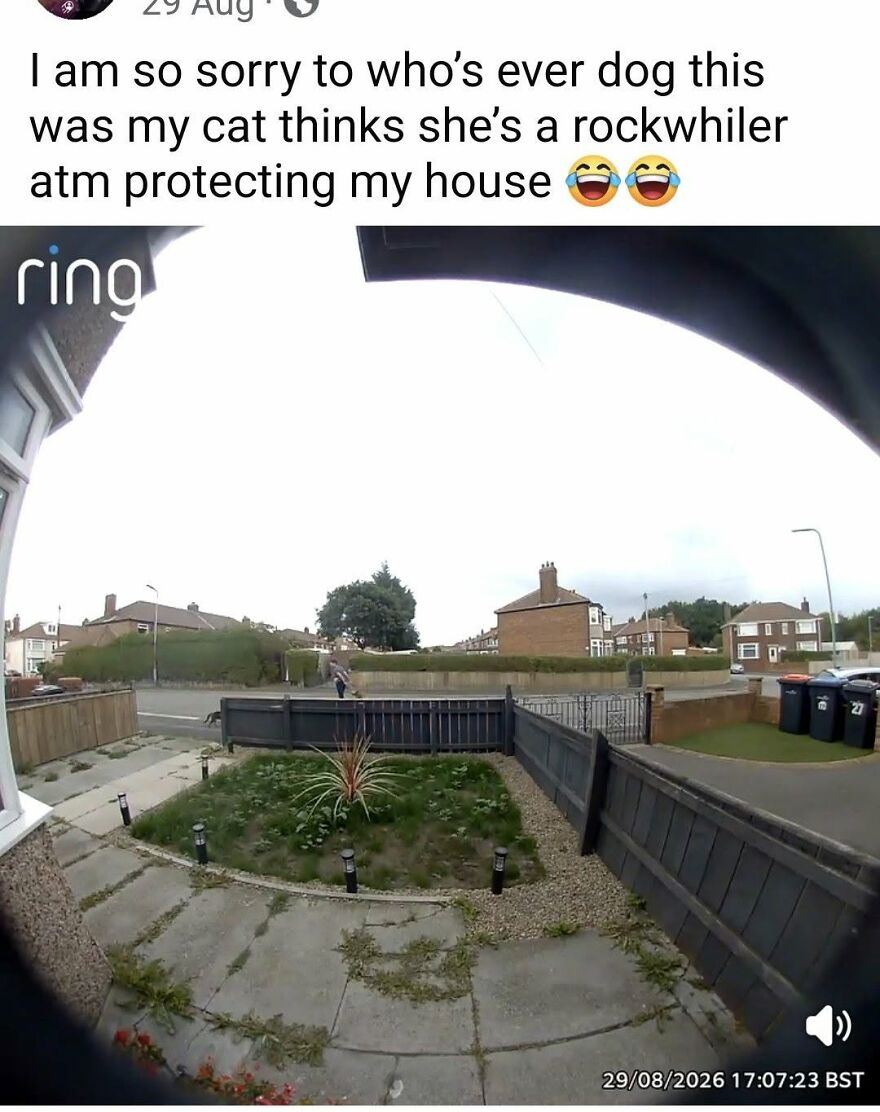 A Ring doorbell camera capture with a post containing grammar fails spelling rottweiler as rockwhiler.